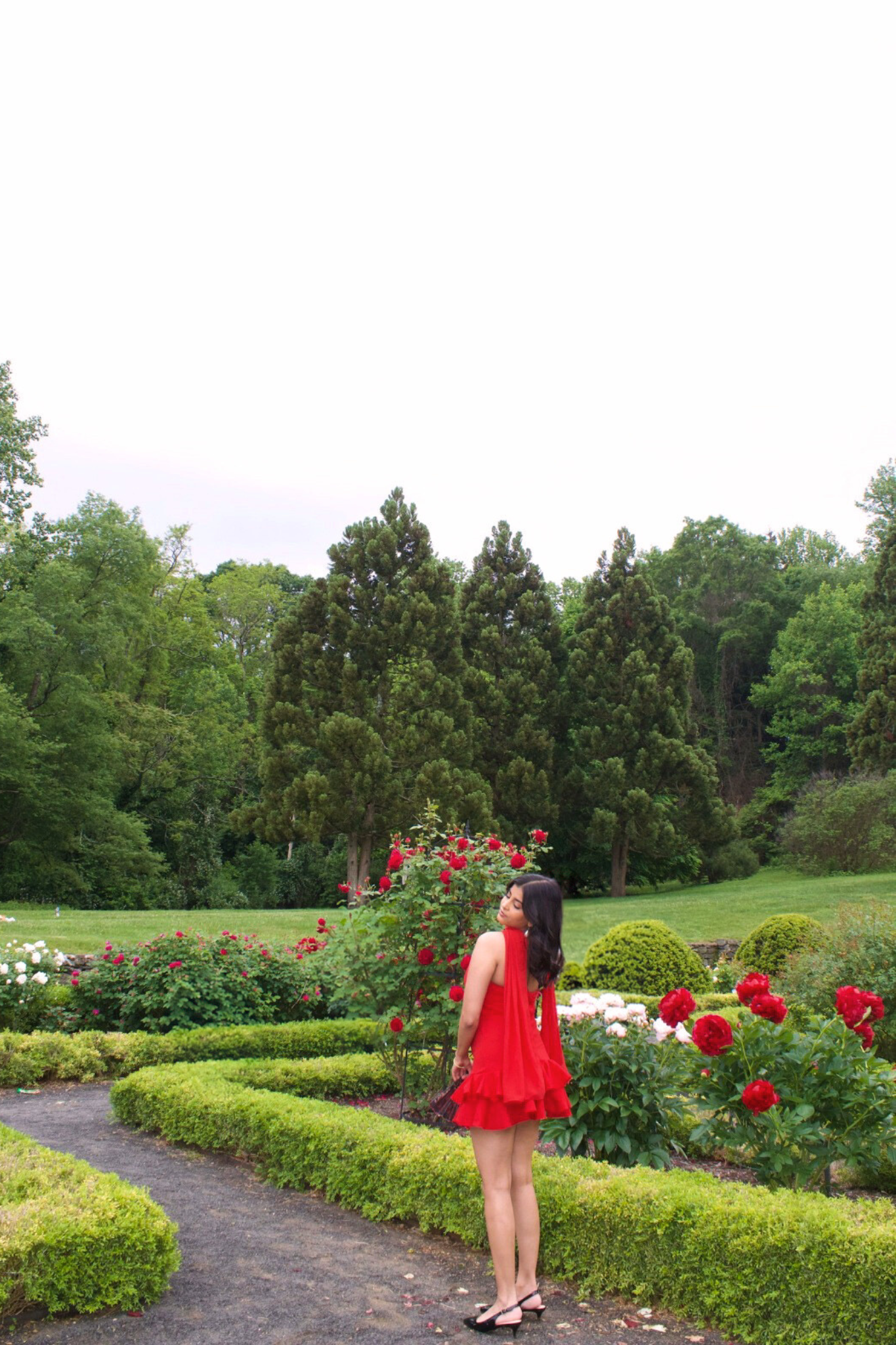 Fiery Rose Dress