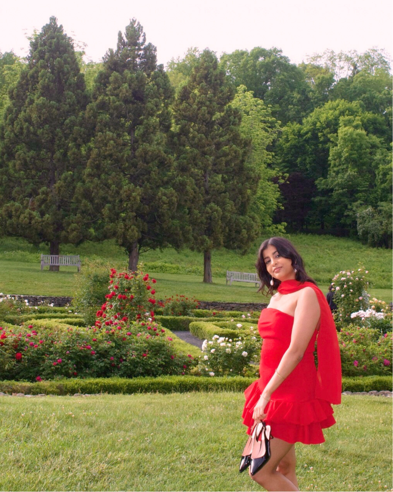 Fiery Rose Dress